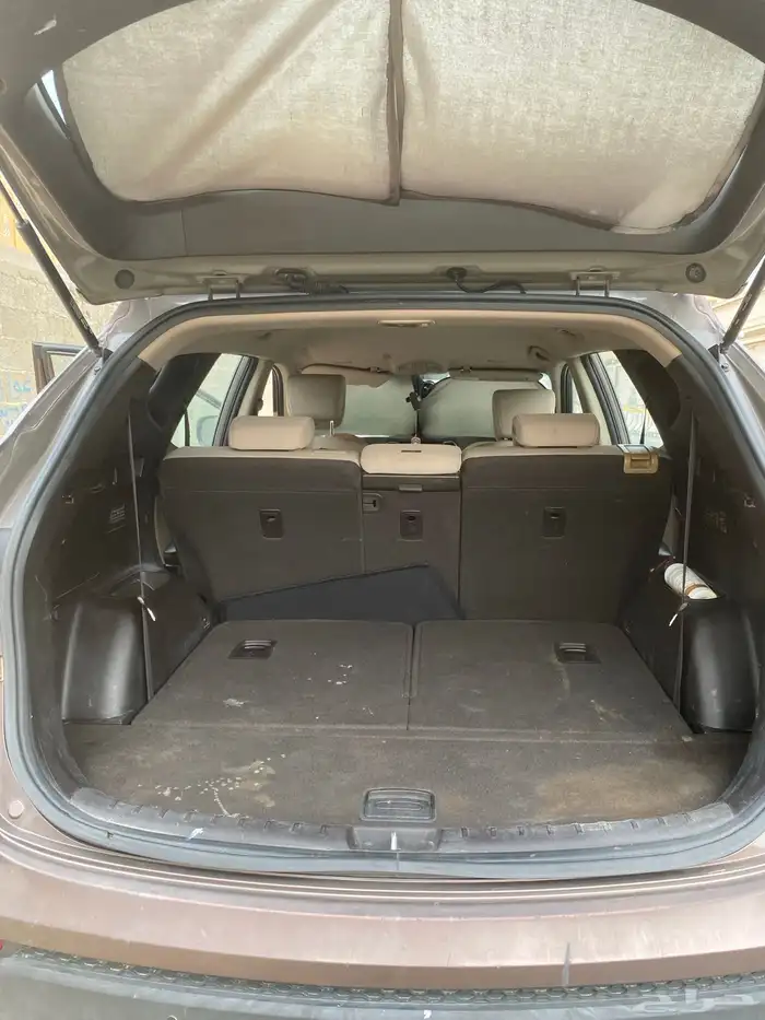 سنتافي 2014 12