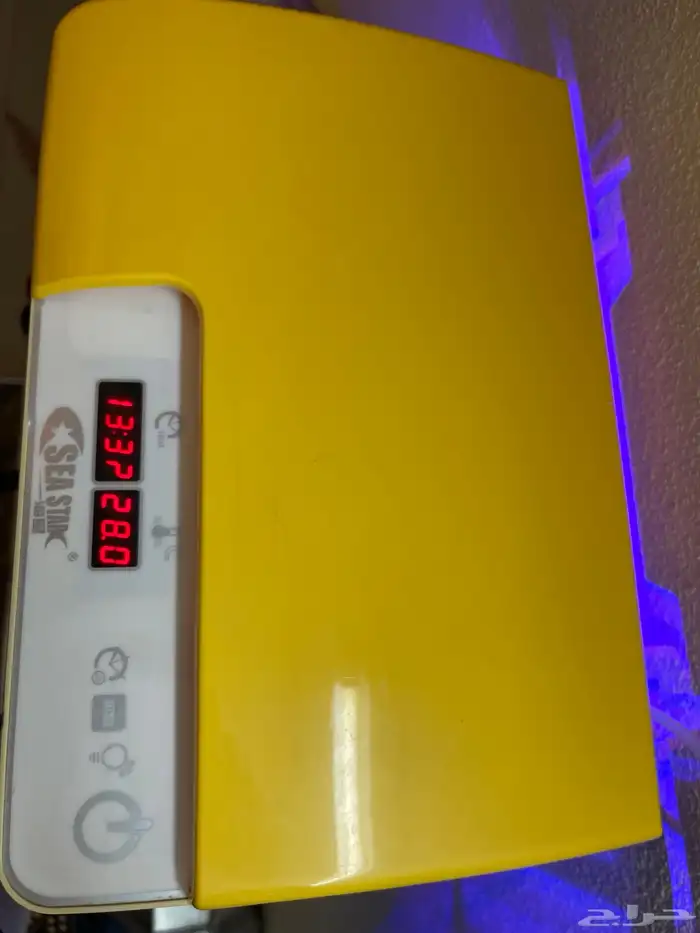 حوض سمك مع 4سمكات 2