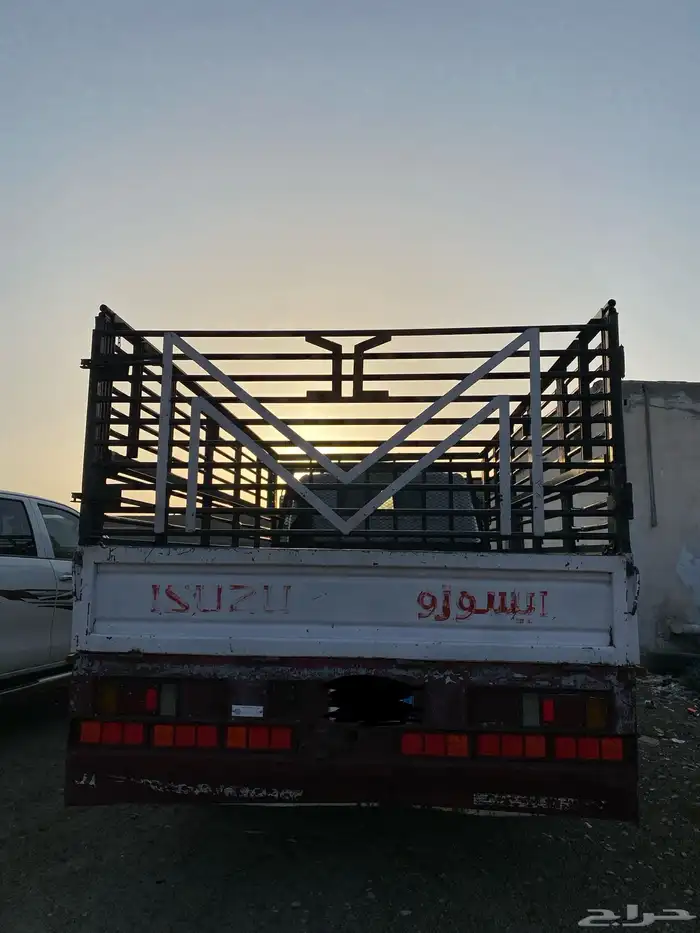 دينا ايسوزو 25