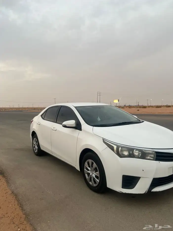 كورلاء 2015 1