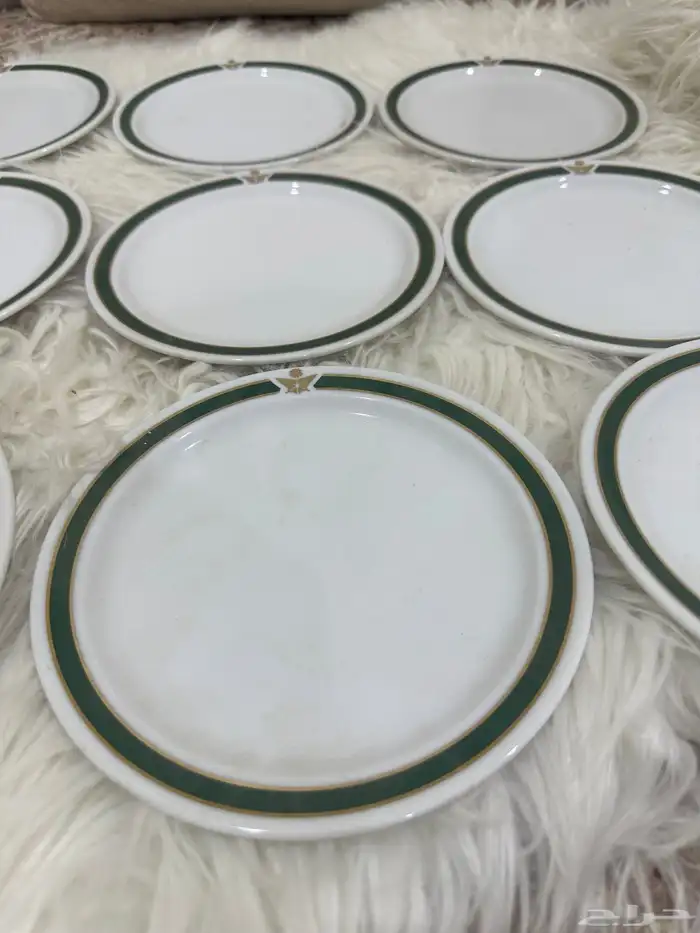 صحون الخطوط السعودية 2