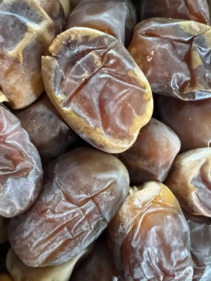 شيشي صقعي نبت سكري لأهل أبها الخميس تثليث أحد رفيدة 0