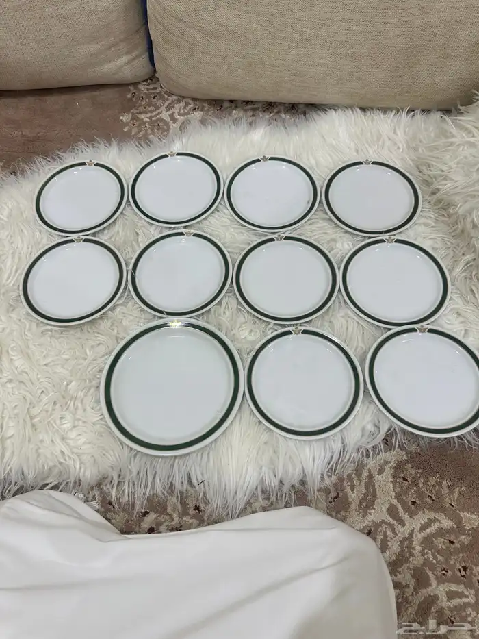 صحون الخطوط السعودية 1