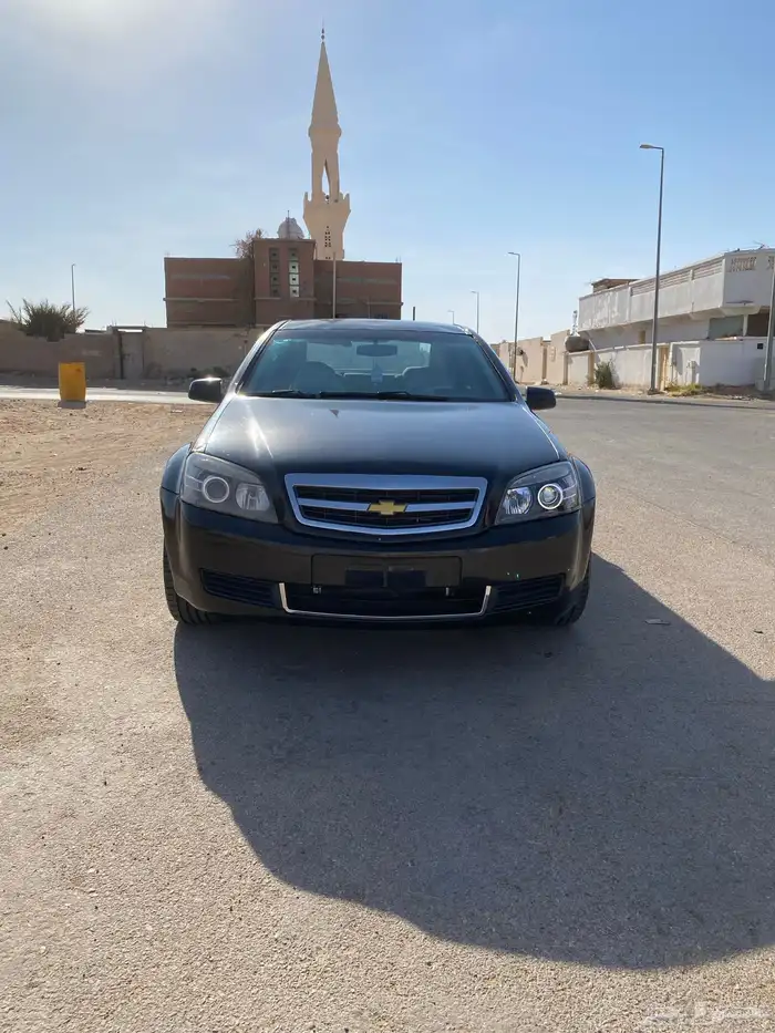كابرس 2015 9