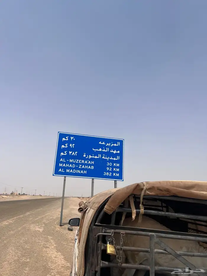 موصل حلال لجميع مناطق المملكة 1