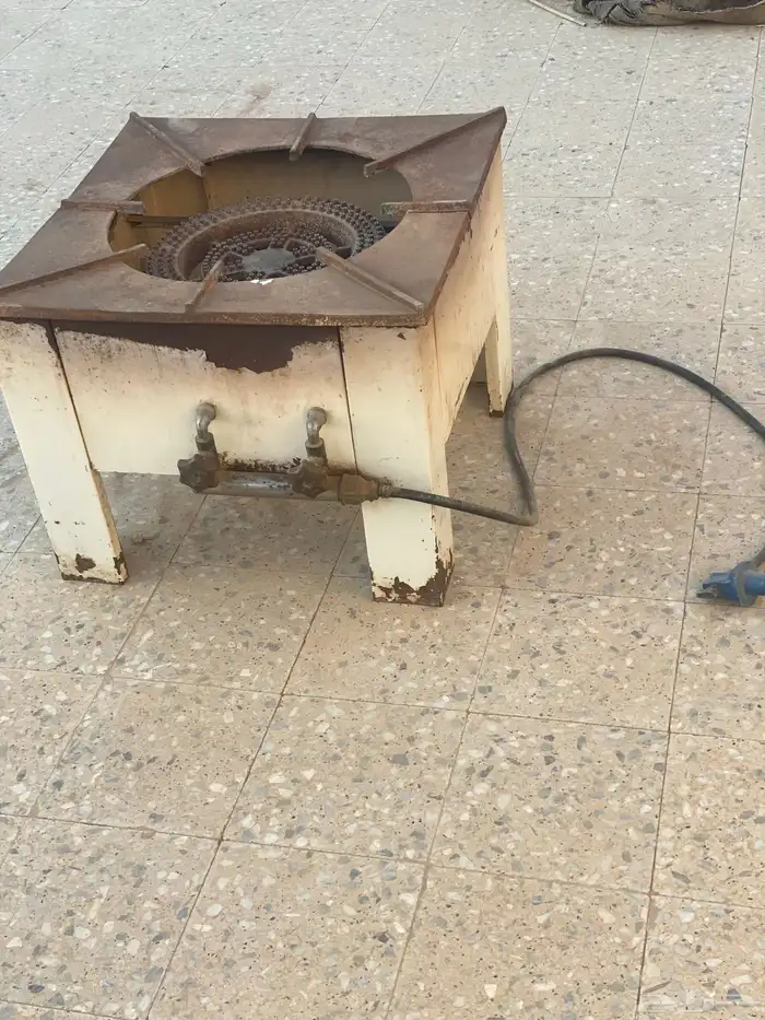 قز طبخ ذبائح 0