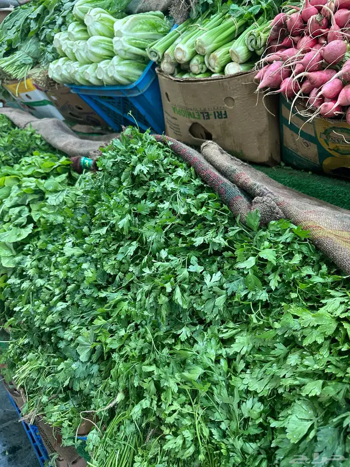 ثمار غيث للخضار والفواكه 5