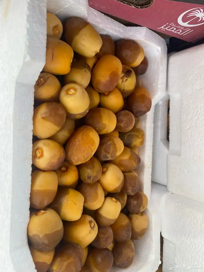 روثانه وك 0