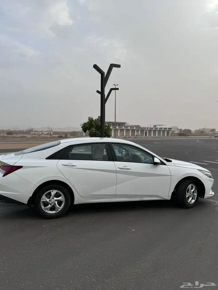 اللنتراء 2021 3