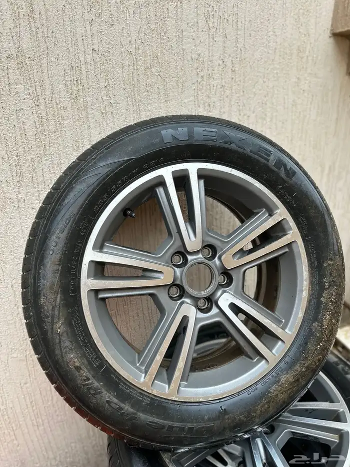 جنوط موستنق موستنج 0