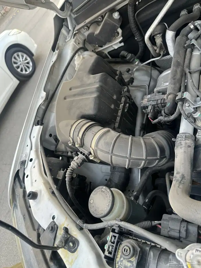 جريت وول نضيف مع لوحه مميزه 7