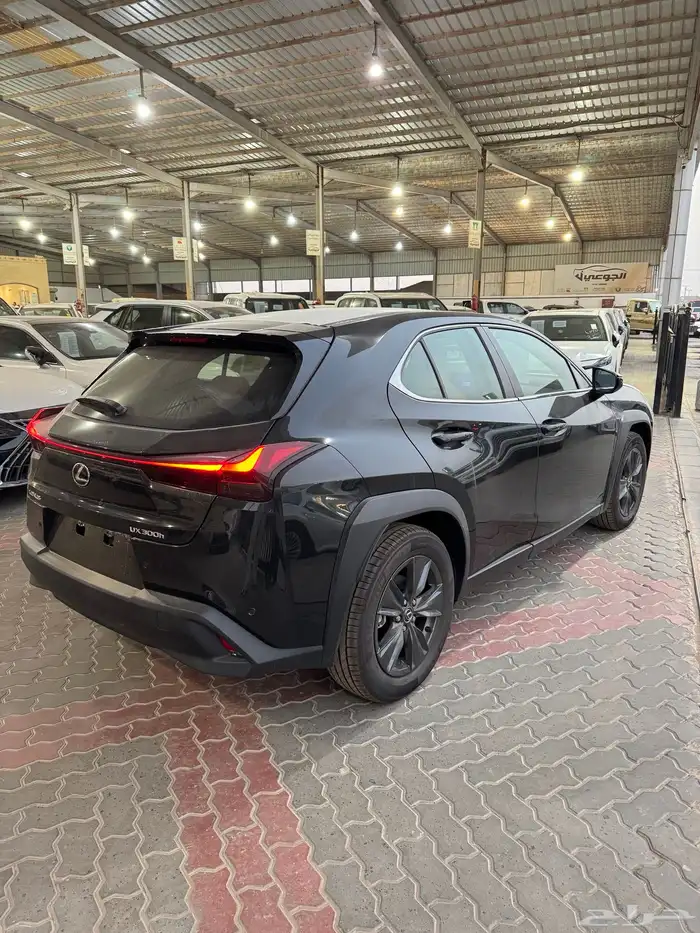 لكزس UX300h فئة AH هايبرد 2024 2