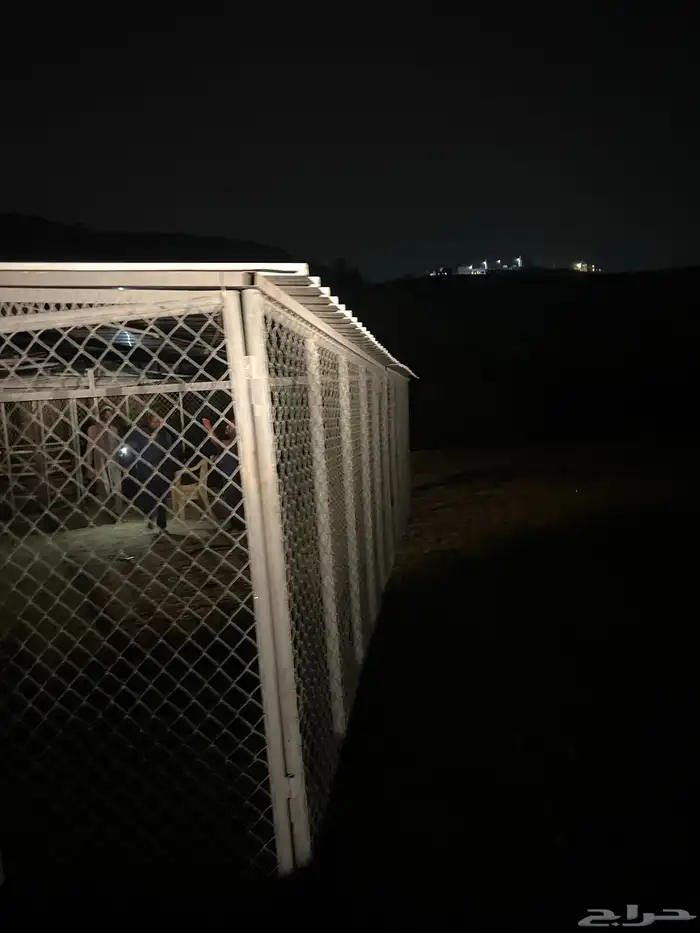 شبك حلال كبير 3
