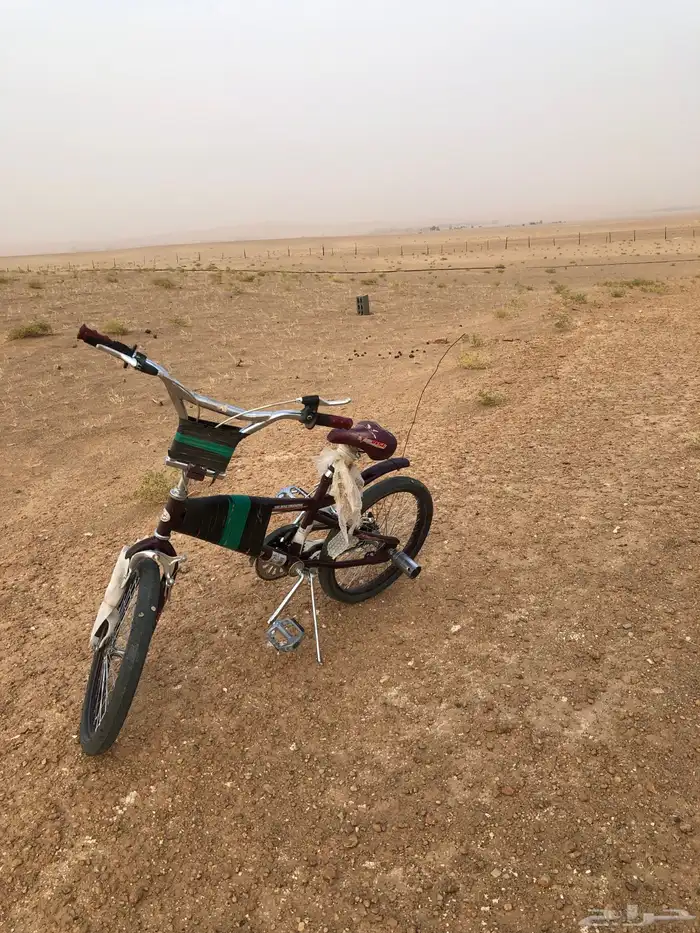 سيكل كوبرا 2
