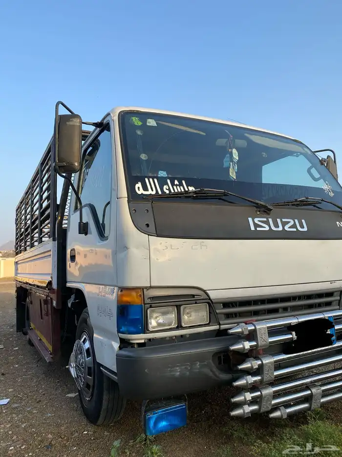 دينا ايسوزو 16