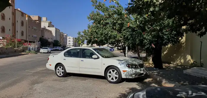 ماكسميا 2007 7