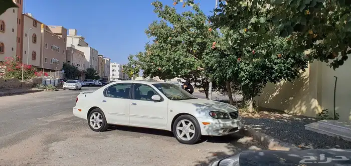ماكسميا 2007 6