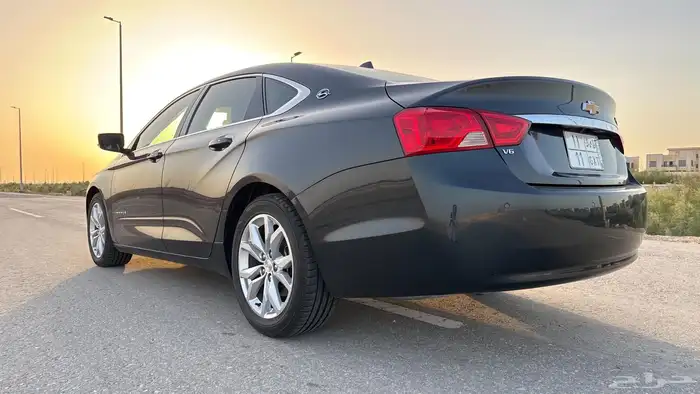 امبالا 2019 LT زيتي 5