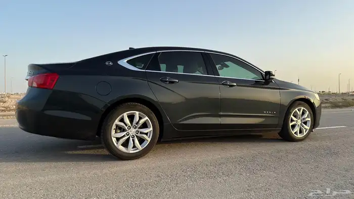 امبالا 2019 LT زيتي 8