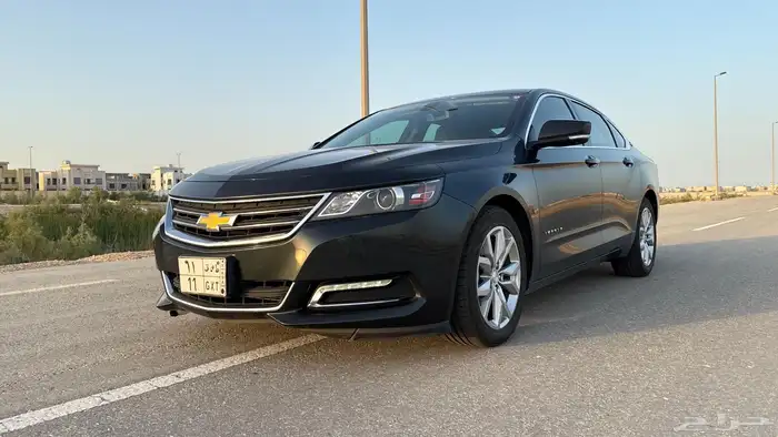 امبالا 2019 LT زيتي 3
