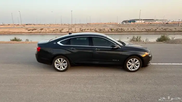 امبالا 2019 LT زيتي 34