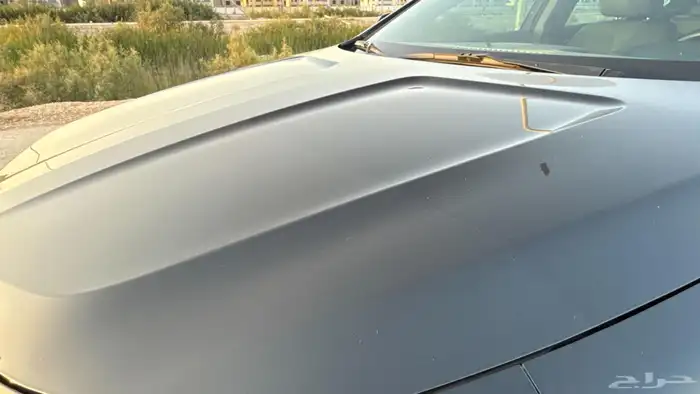 امبالا 2019 LT زيتي 16