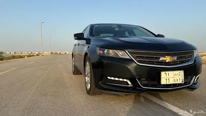 امبالا 2019 LT زيتي 12