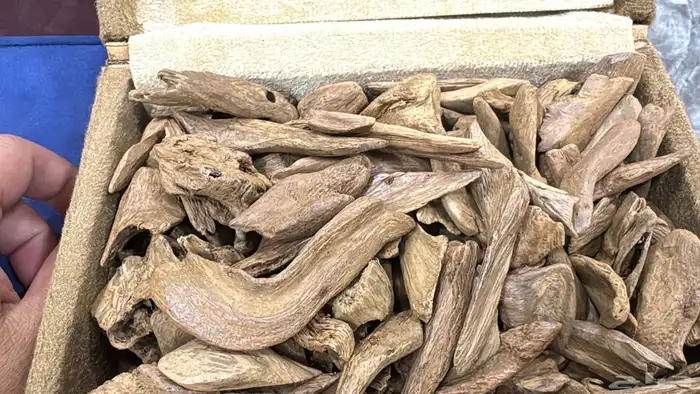 مروكي اصقون سوبر مرتفع الحجم ميني 0