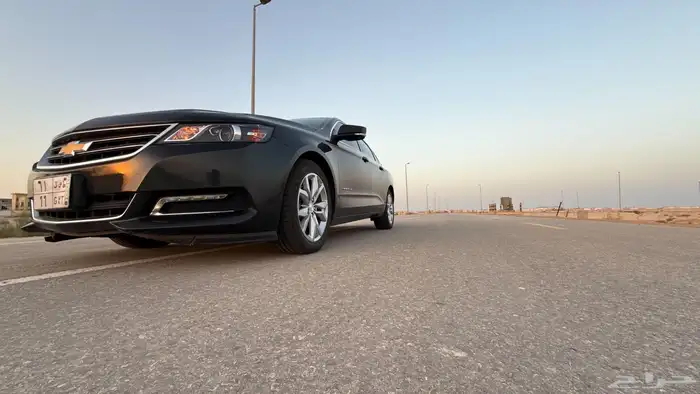 امبالا 2019 LT زيتي 39