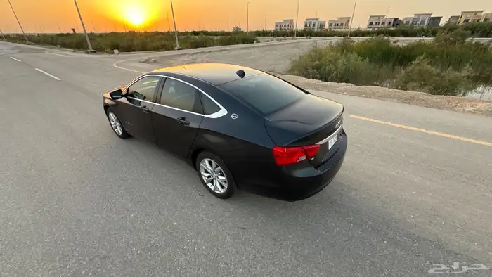 امبالا 2019 LT زيتي 36