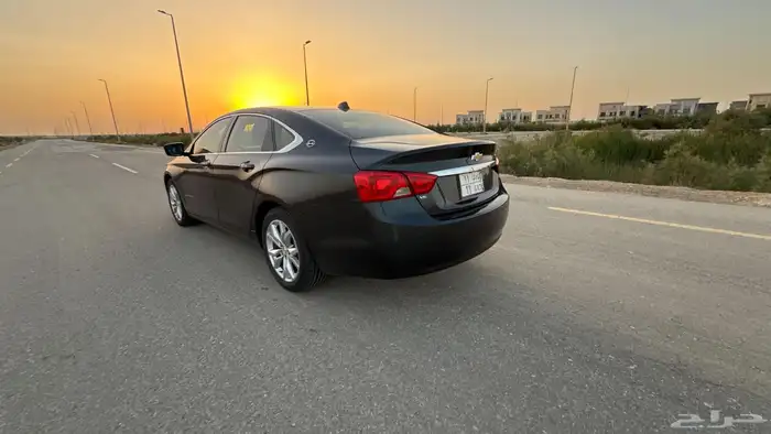 امبالا 2019 LT زيتي 37