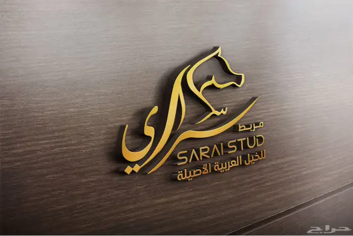 مصمم شعارات وهويات تجارية وبروفايلات 8