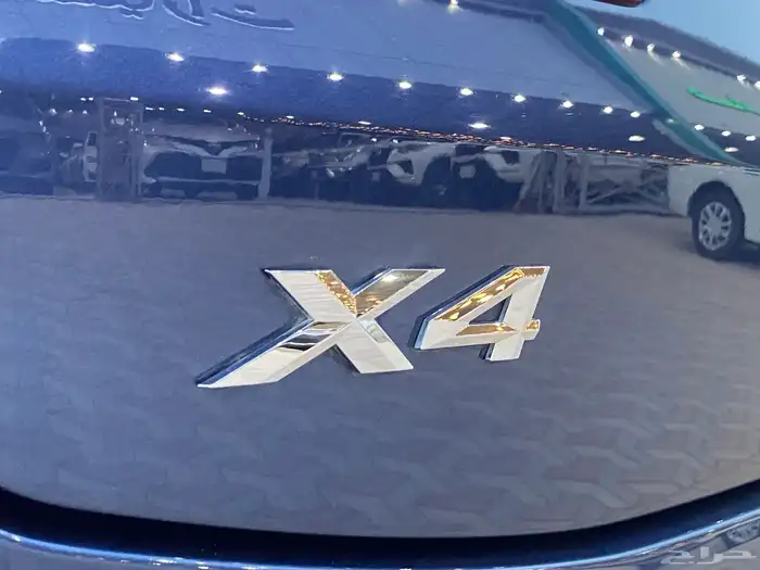 بي أم دبليو BMW X4 10