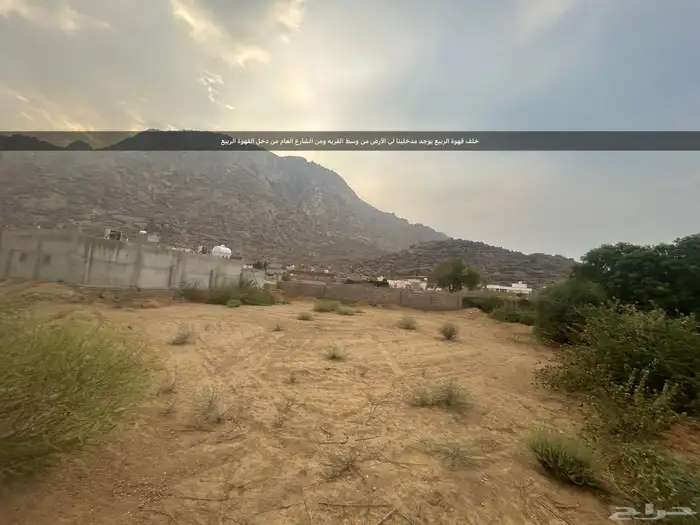 المخواة. بعد محطة الجبل..خلف قهوة الربيع 0