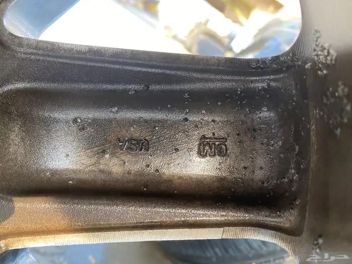 جنوط دينالي 8