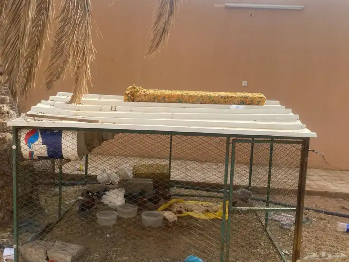 للبيع حمام مع اشبك 1