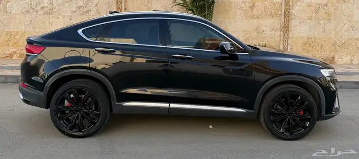 جيلي_توجيلا_2022_فل 17