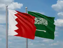 توصيل الى البحرين 0