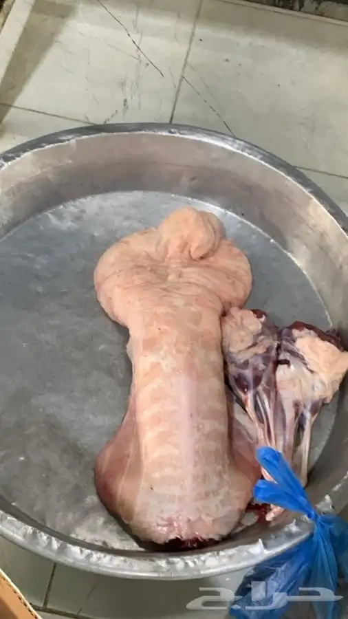 ذبايح مزرعة مرابي عسير 1