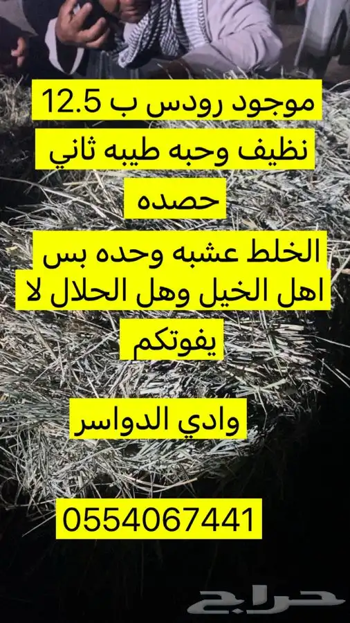 رودس سيم مشدود وحبه طيبه 0