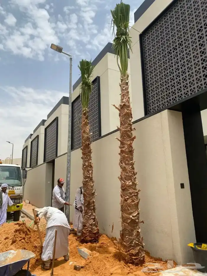 تنسيق الحدائق المنزلية 8