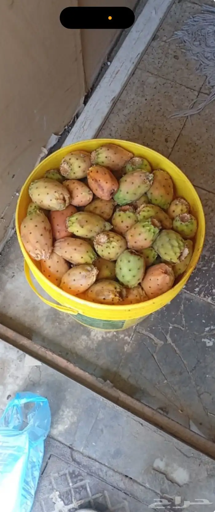 ثمار غيث للخضار والفواكه 1