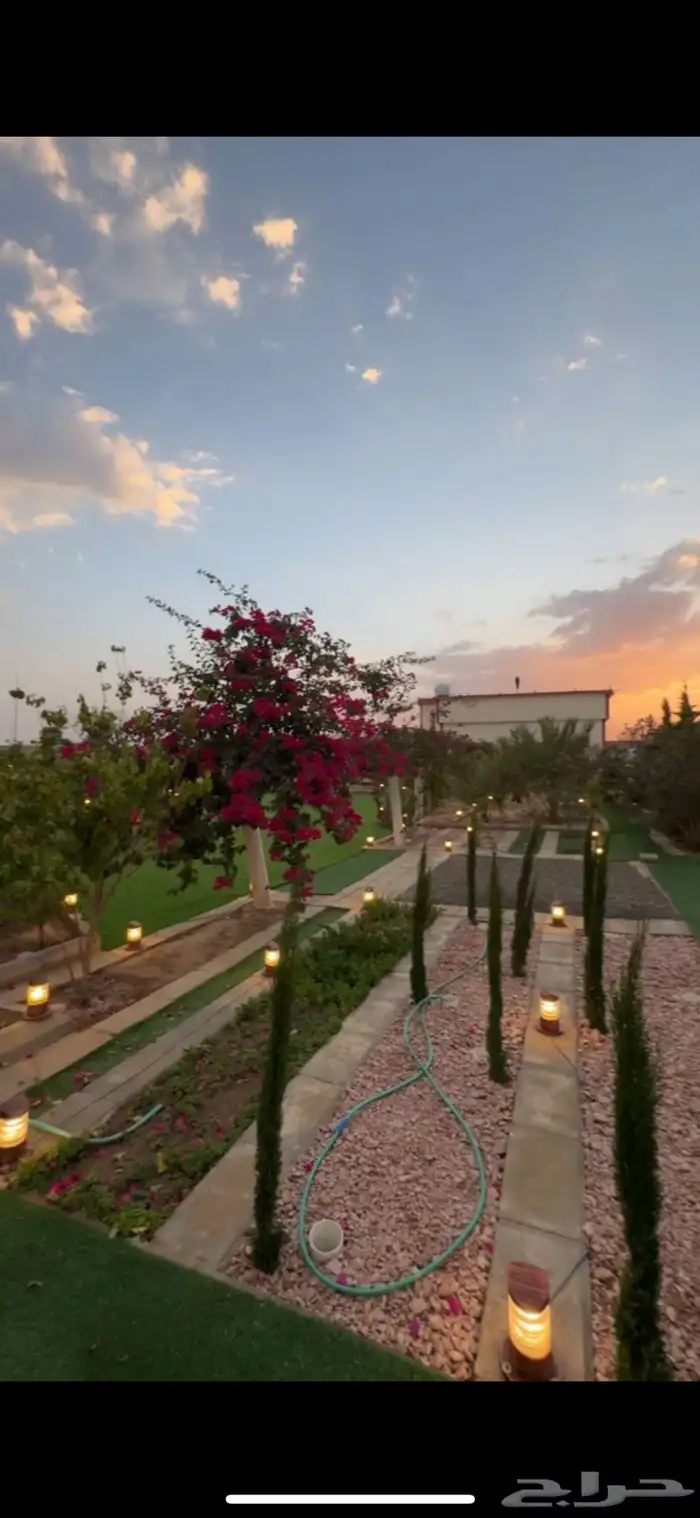 مزرعه واستراحة النايف 2