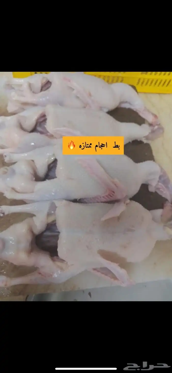 فروج طازج 2