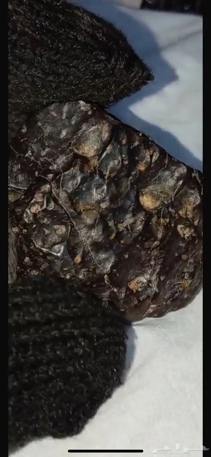 نيازك منوعة 1