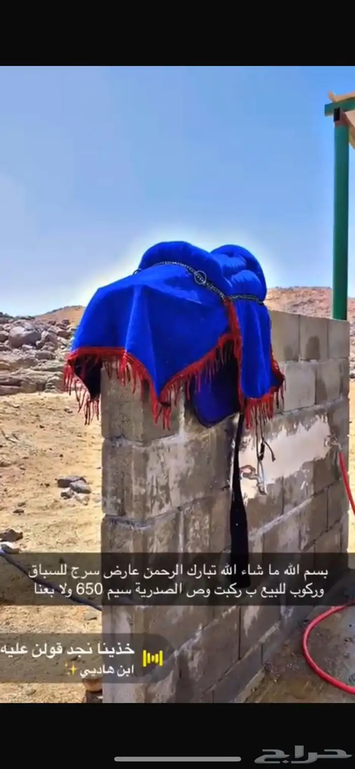 سرج الخيل كفوو للبيع 1