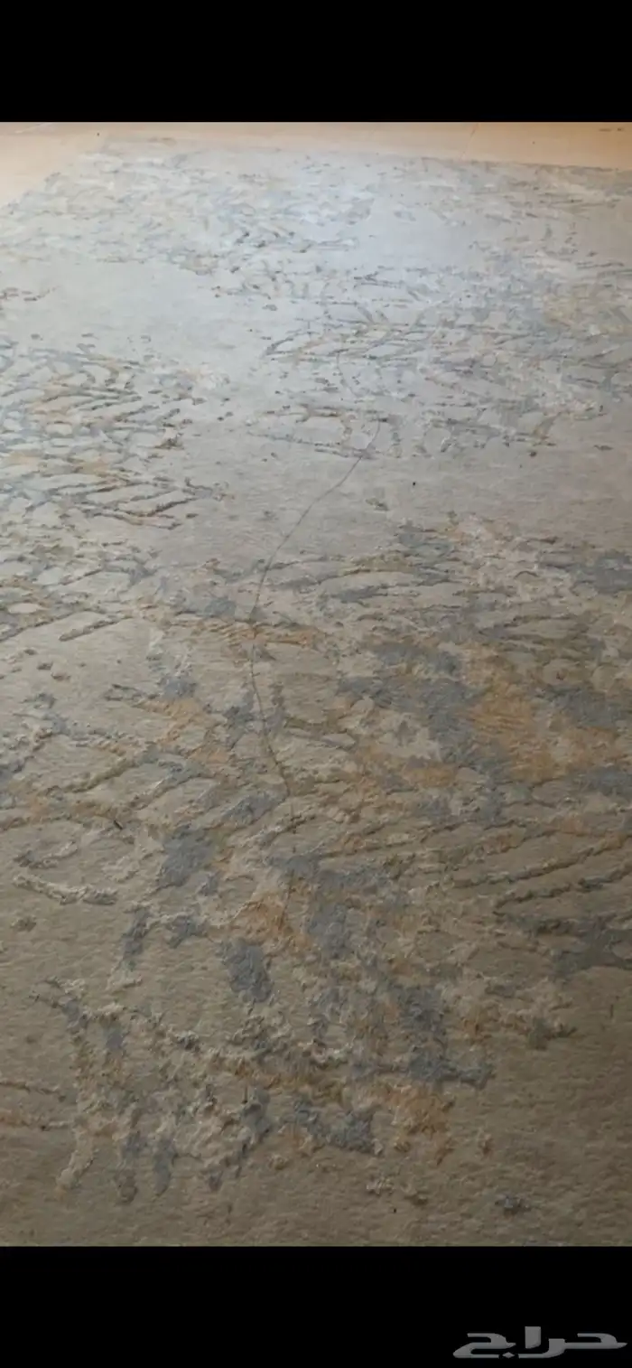 فرشه جديده 9