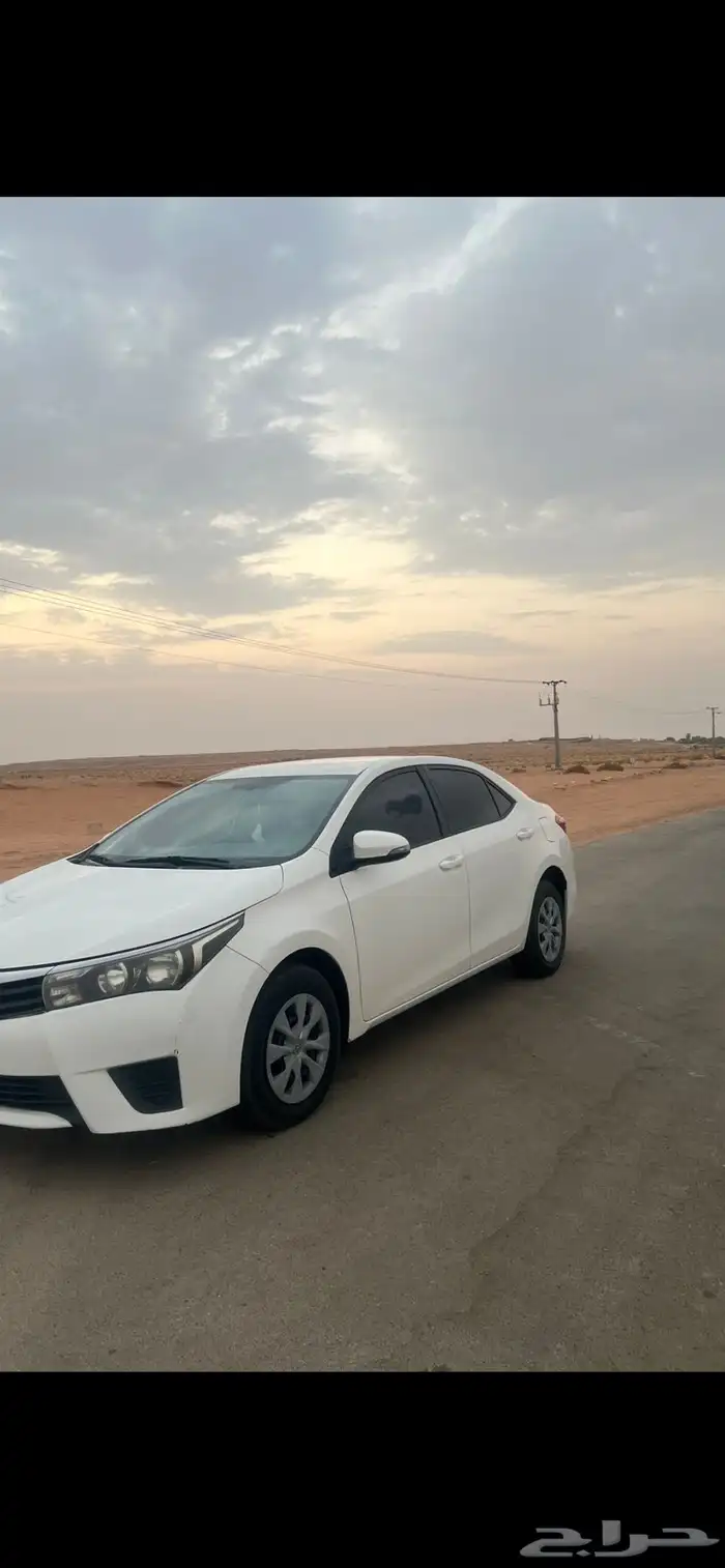 كورلاء 2015 0