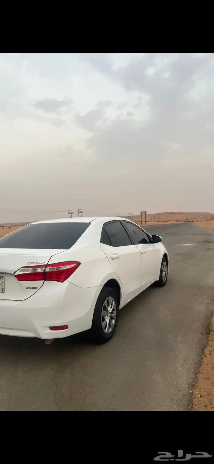 كورلاء 2015 2