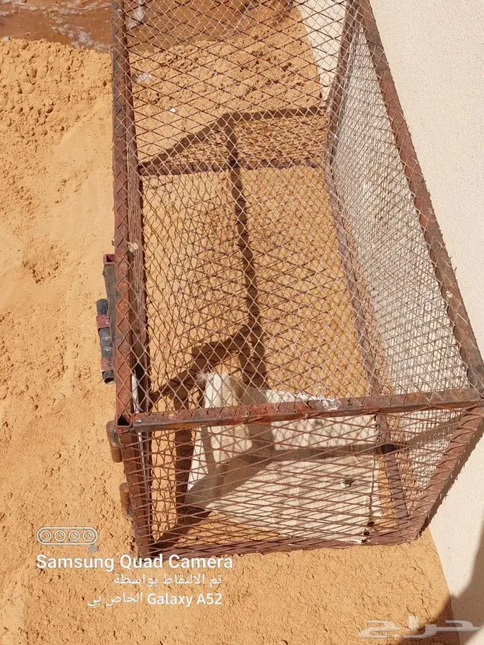 شبك طيور او دجاج للبيع 5